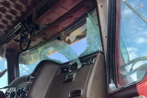Read more about the article Eagan truck driver gets quite a scare when turkey smashes through windshield