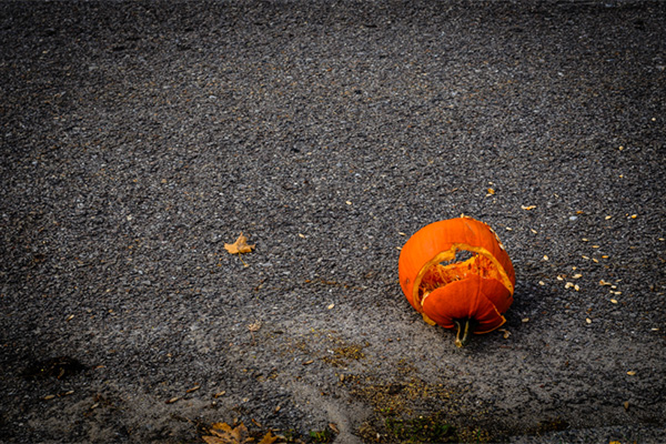 Student feared for his life as pumpkin smashes through windshield